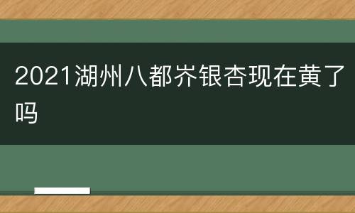 2021湖州八都岕银杏现在黄了吗