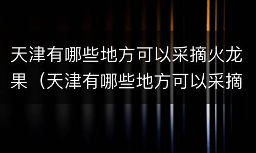 天津有哪些地方可以采摘火龙果（天津有哪些地方可以采摘火龙果果）