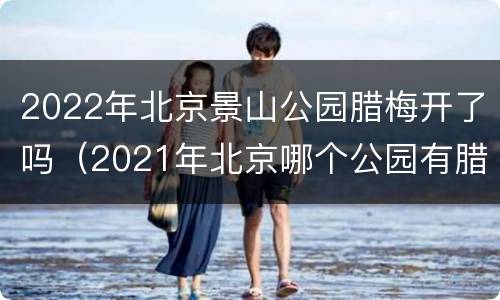 2022年北京景山公园腊梅开了吗（2021年北京哪个公园有腊梅花开）