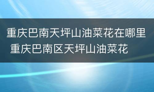 重庆巴南天坪山油菜花在哪里 重庆巴南区天坪山油菜花