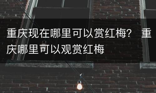 重庆现在哪里可以赏红梅？ 重庆哪里可以观赏红梅