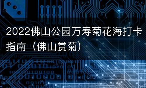 2022佛山公园万寿菊花海打卡指南（佛山赏菊）