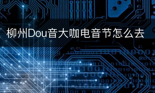 柳州Dou音大咖电音节怎么去