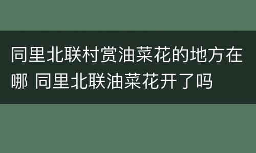同里北联村赏油菜花的地方在哪 同里北联油菜花开了吗