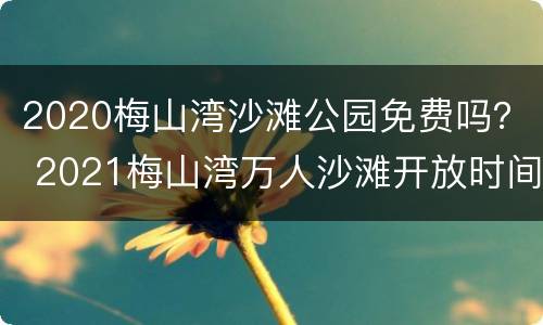 2020梅山湾沙滩公园免费吗？ 2021梅山湾万人沙滩开放时间