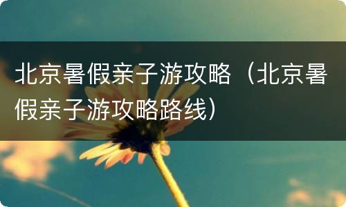 北京暑假亲子游攻略（北京暑假亲子游攻略路线）