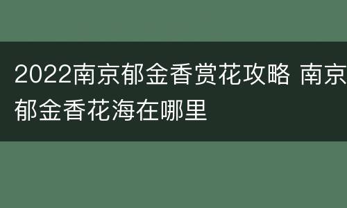 2022南京郁金香赏花攻略 南京郁金香花海在哪里