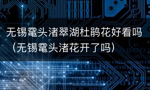 无锡鼋头渚翠湖杜鹃花好看吗（无锡鼋头渚花开了吗）