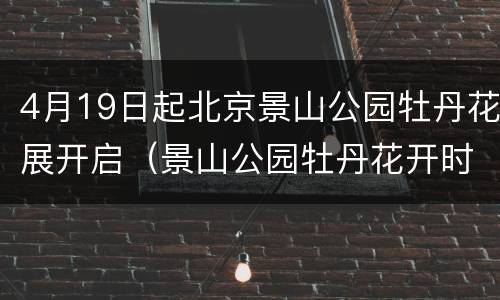 4月19日起北京景山公园牡丹花展开启（景山公园牡丹花开时间 2020）