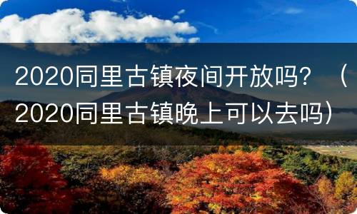 2020同里古镇夜间开放吗？（2020同里古镇晚上可以去吗）