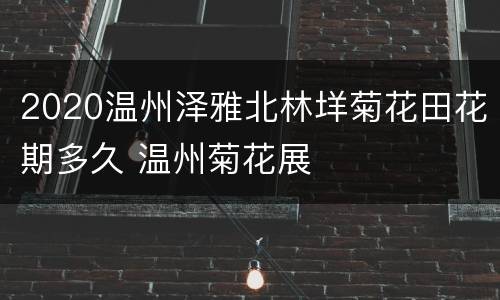 2020温州泽雅北林垟菊花田花期多久 温州菊花展