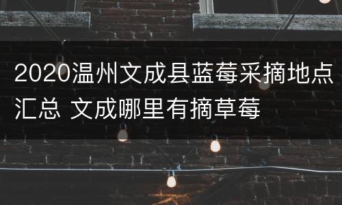 2020温州文成县蓝莓采摘地点汇总 文成哪里有摘草莓