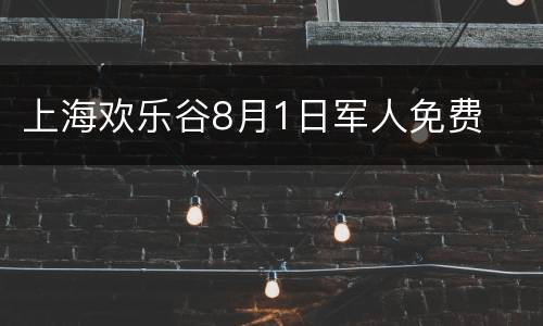 上海欢乐谷8月1日军人免费