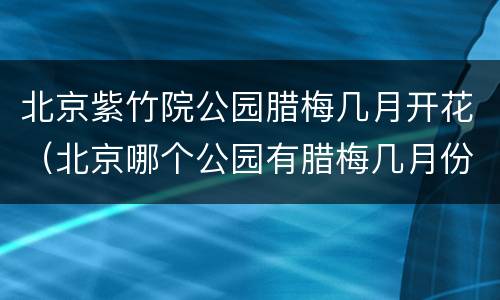 北京紫竹院公园腊梅几月开花（北京哪个公园有腊梅几月份开）