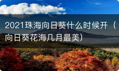 2021珠海向日葵什么时候开（向日葵花海几月最美）
