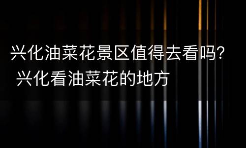 兴化油菜花景区值得去看吗？ 兴化看油菜花的地方