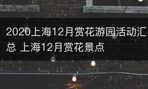 2020上海12月赏花游园活动汇总 上海12月赏花景点