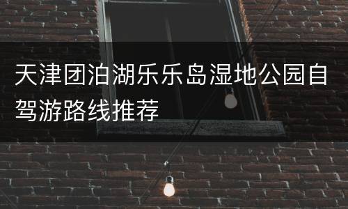 天津团泊湖乐乐岛湿地公园自驾游路线推荐