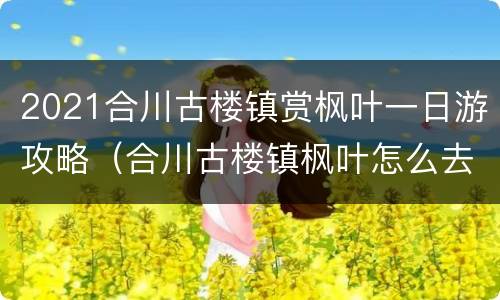 2021合川古楼镇赏枫叶一日游攻略（合川古楼镇枫叶怎么去）