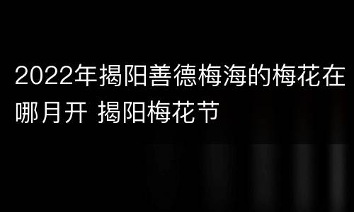 2022年揭阳善德梅海的梅花在哪月开 揭阳梅花节