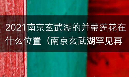 2021南京玄武湖的并蒂莲花在什么位置（南京玄武湖罕见再现并蒂莲图片）