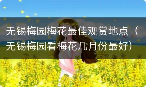 无锡梅园梅花最佳观赏地点（无锡梅园看梅花几月份最好）