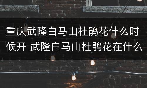重庆武隆白马山杜鹃花什么时候开 武隆白马山杜鹃花在什么地方