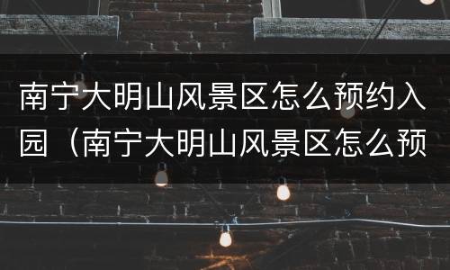 南宁大明山风景区怎么预约入园（南宁大明山风景区怎么预约入园门票）