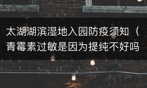 太湖湖滨湿地入园防疫须知（青霉素过敏是因为提纯不好吗）