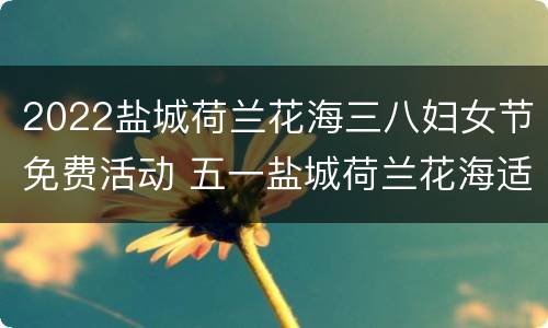 2022盐城荷兰花海三八妇女节免费活动 五一盐城荷兰花海适合去吗