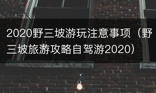 2020野三坡游玩注意事项（野三坡旅游攻略自驾游2020）