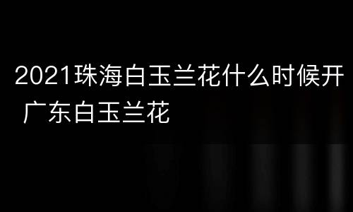 2021珠海白玉兰花什么时候开 广东白玉兰花
