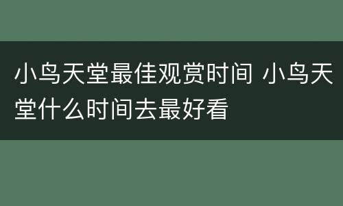 小鸟天堂最佳观赏时间 小鸟天堂什么时间去最好看