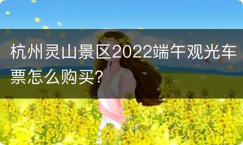 杭州灵山景区2022端午观光车票怎么购买？