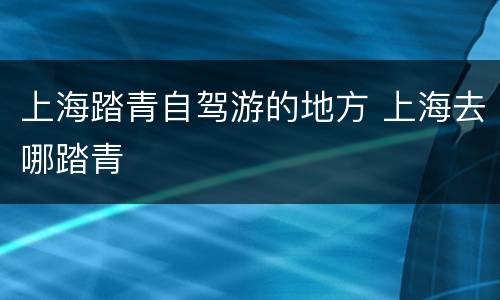 上海踏青自驾游的地方 上海去哪踏青