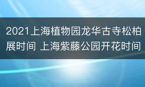 2021上海植物园龙华古寺松柏展时间 上海紫藤公园开花时间2021