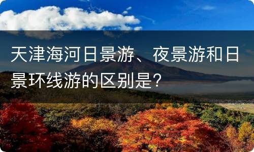 天津海河日景游、夜景游和日景环线游的区别是?