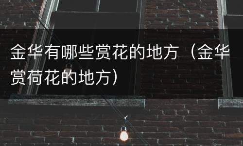 金华有哪些赏花的地方（金华赏荷花的地方）