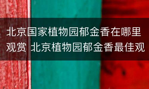 北京国家植物园郁金香在哪里观赏 北京植物园郁金香最佳观赏期