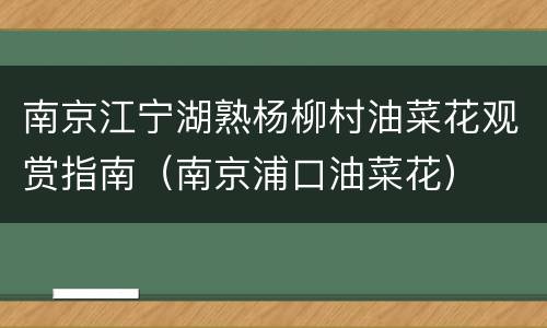 南京江宁湖熟杨柳村油菜花观赏指南（南京浦口油菜花）