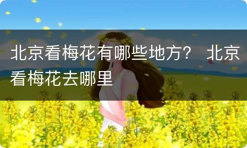北京看梅花有哪些地方？ 北京看梅花去哪里