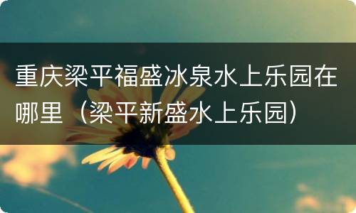 重庆梁平福盛冰泉水上乐园在哪里（梁平新盛水上乐园）