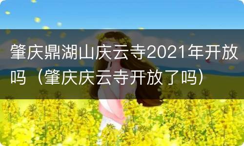 肇庆鼎湖山庆云寺2021年开放吗（肇庆庆云寺开放了吗）