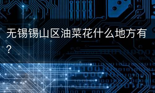 无锡锡山区油菜花什么地方有？
