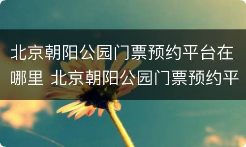 北京朝阳公园门票预约平台在哪里 北京朝阳公园门票预约平台在哪里进去