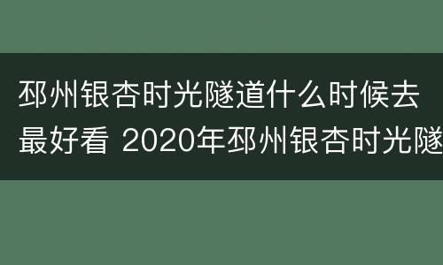 邳州银杏时光隧道什么时候去最好看 2020年邳州银杏时光隧道什么时候去最好看
