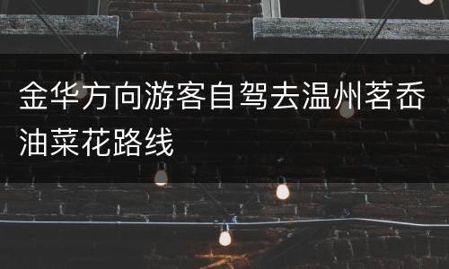 金华方向游客自驾去温州茗岙油菜花路线