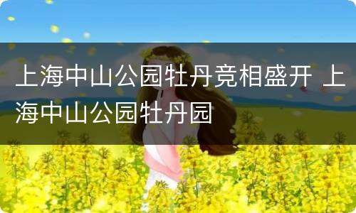 上海中山公园牡丹竞相盛开 上海中山公园牡丹园