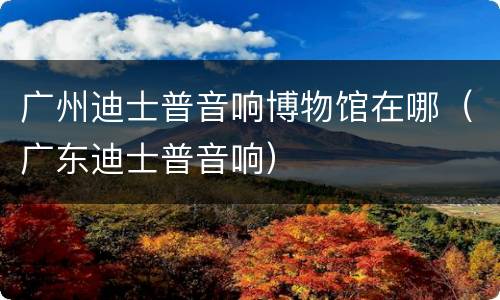 广州迪士普音响博物馆在哪（广东迪士普音响）