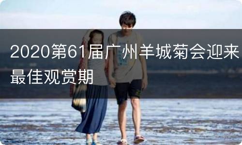 2020第61届广州羊城菊会迎来最佳观赏期